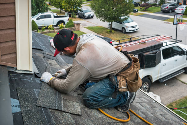 Professional Gutter Repair And Installation technician working in Lineville, AL